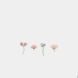 Meet your Posher, Katy